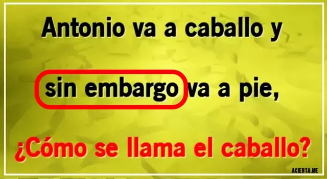 acertijo visual