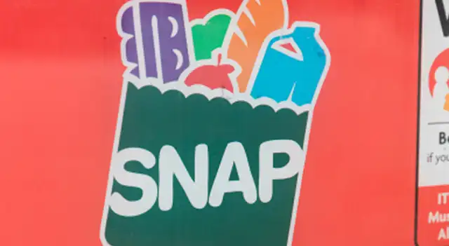 SNAP. SNAP.