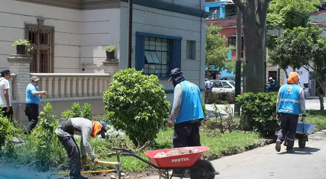 Municipalidad de Jesús María