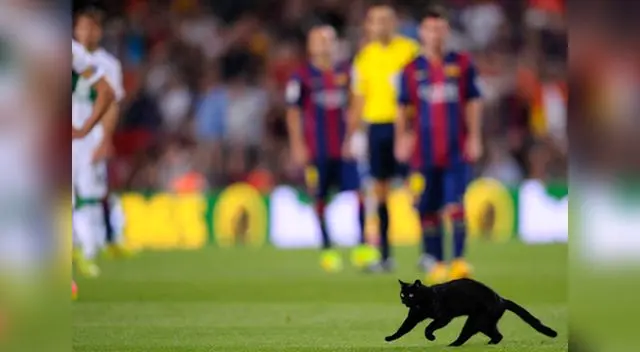 La aparición de un gato negro obligó a interrumpir partido en el Camp Nou.