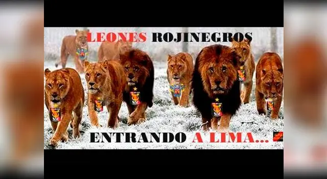 Memes de hinchas de Melgar apoyando a su equipo