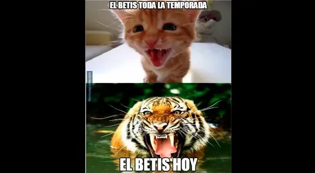 Real Betis vs. Real Madrid, los memes que dejó el encuentro