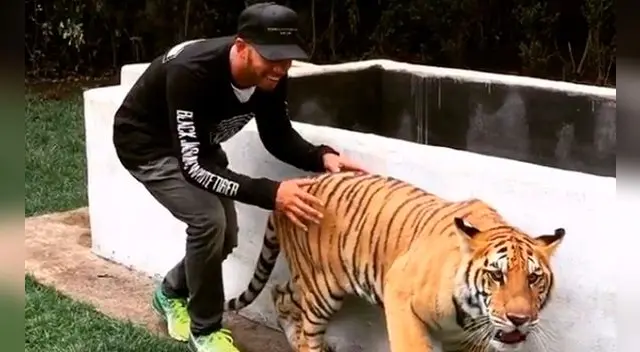 Hamilton y la sangre fría que mostró junto a esta fiera salvaje. 