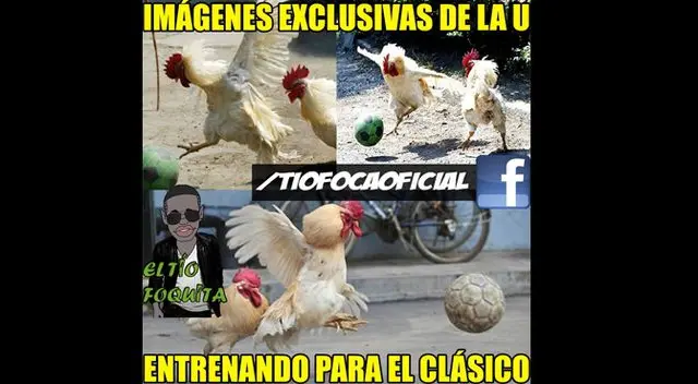 Los memes más divertidos del 2016.
