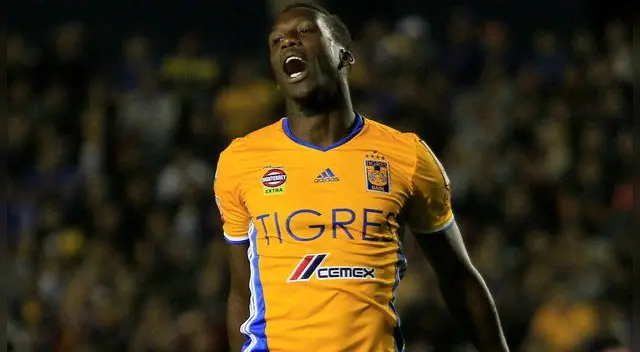 Tigres vs. Monterrey EN VIVO TDN ONLINE: en TV por Liga MX [Hora y canal]