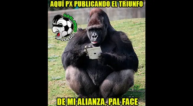 Alianza Lima 2-1 Sporting Cristal: los mejores memes tras el triunfo blanquiazul por el Torneo Clausura Alianza Lima 2-1 Sporting Cristal: los mejores memes tras el triunfo blanquiazul por el Torneo Clausura