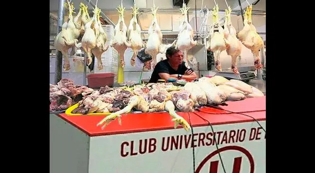 Universitario: Pedro Troglio es víctima de memes tras inusual conferencia de prensa Universitario: Pedro Troglio es víctima de memes tras inusual conferencia de prensa