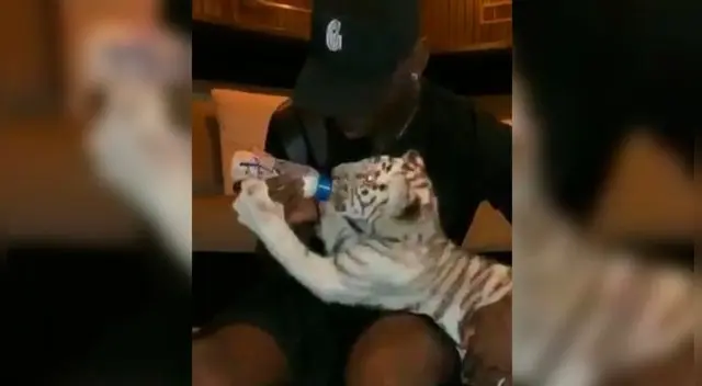 Manchester United: Paul Pogba presentó en redes sociales a su nueva 'mascota' [VIDEO]