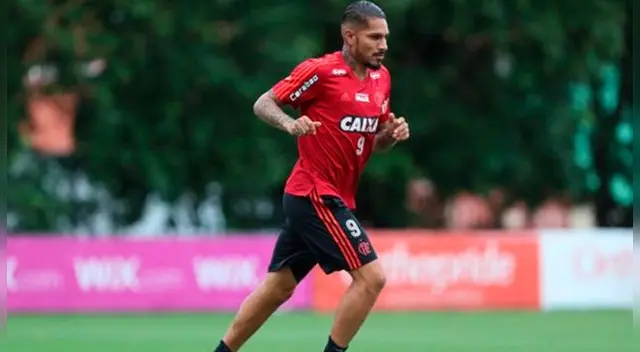 Paolo Guerrero entrenó con Flamengo y será titular ante Ponte Preta en la Copa de Brasil. Paolo Guerrero entrenó con Flamengo y será titular ante Ponte Preta en la Copa de Brasil.