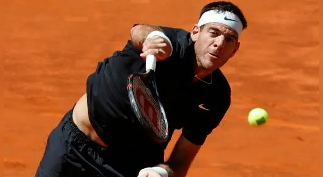 Juan Martín del Potro estuvo cerca de la victoria. Foto: EFE