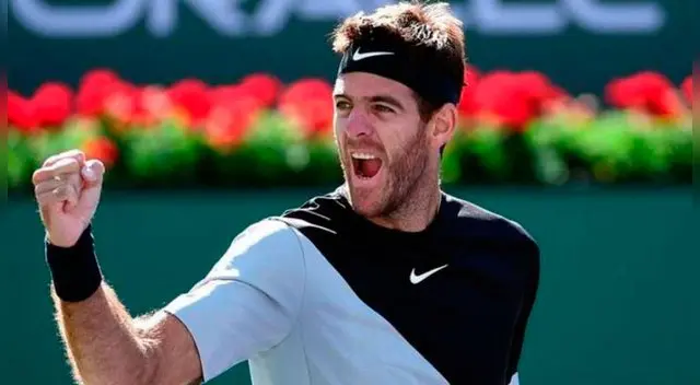 Juan Martín del Potro venció en los octavos de final por Roland Garros Juan Martín del Potro venció en los octavos de final por Roland Garros