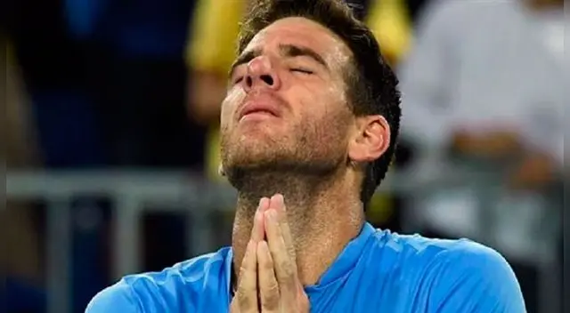 Juan Martín Del Potro peleó con hincha durante partido por Roland Garros. Juan Martín Del Potro peleó con hincha durante partido por Roland Garros.