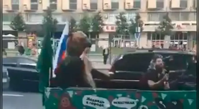 Rusia 2018 | Un oso fue captado este jueves en las callas de Rusia [VIDEO]