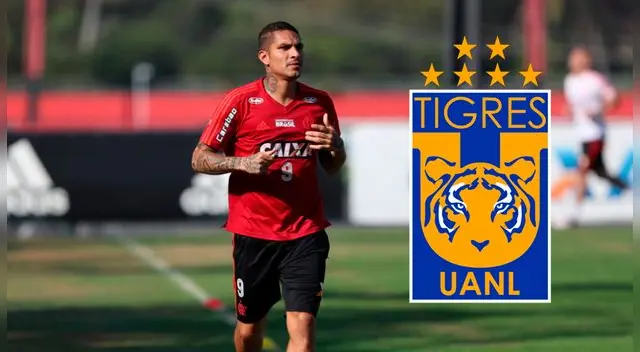 Paolo Guerrero dejaría el fútbol brasileño tras 8 años. Paolo Guerrero dejaría el fútbol brasileño tras 8 años.