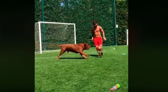 Barcelona: Lionel Messi se enfrentó a Hulk, su perro, y este fue el resultado [VIDEO]