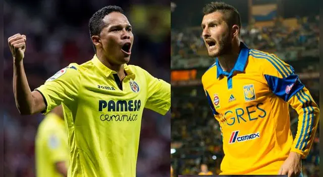 Tigres: Carlos Bacca sería el reemplazante de André-Pierre Gignac quien partiría a Qatar | Liga Mx Tigres: Carlos Bacca sería el reemplazante de André-Pierre Gignac quien partiría a Qatar | Liga Mx