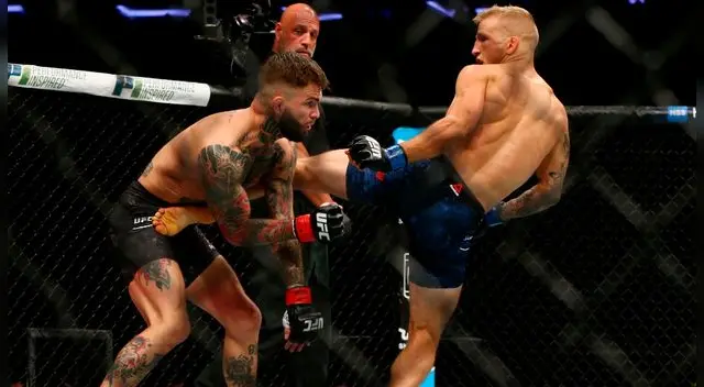 Las Artes Marciales Mixtas continúan ganando adeptos en los videojuegos. 