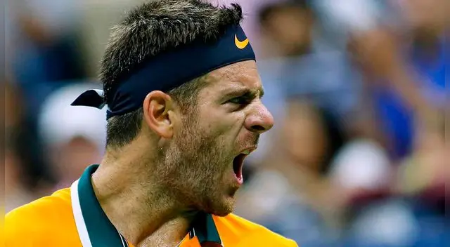 Del Potro venció 3-0 a Coric y pasó a los cuartos de final del US Open 2018. Del Potro venció 3-0 a Coric y pasó a los cuartos de final del US Open 2018.
