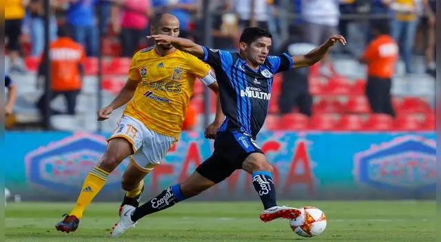 Ver EN VIVO Tigres UANL vs Querétaro ONLINE Transmisión EN DIRECTO vía INTERNET / TDN / UNIVISIÓN DEPORTES por la Liga MX 2018