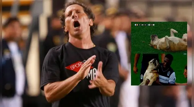 Pedro Troglio culpó al Perro Roberto por perder el partido entre Gimansia y Unión de Santa Fe │ Superliga Argentina │ VIDEO