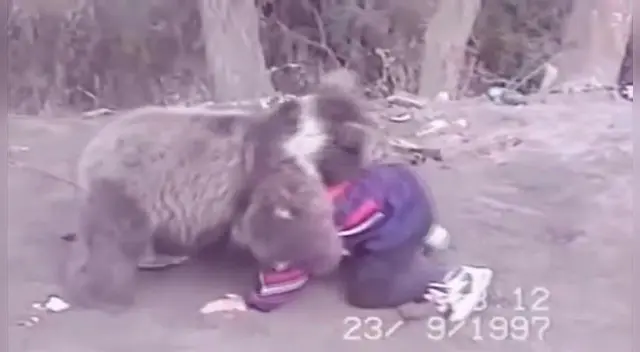 Khabib Nurmagomedov vs Oso: El peleador de UFC contó detalles de su batalla con animal │ VIDEO Khabib Nurmagomedov vs Oso: El peleador de UFC contó detalles de su batalla con animal │ VIDEO