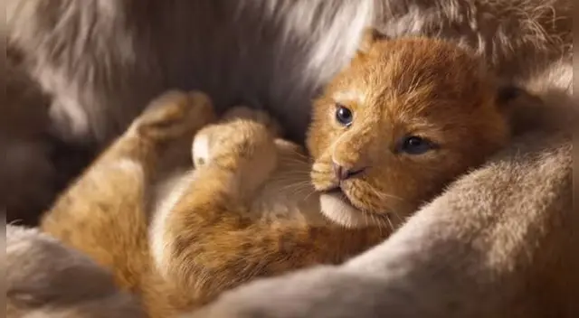 El Rey León: Disney lanzó el primer tráiler de la pelicula en versión live action El Rey León: Disney lanzó el primer tráiler de la pelicula en versión live action