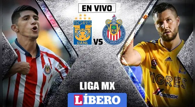 Chivas vs Tigres EN VIVO ONLINE vía TDN por la jornada 17 de la Liga MX.