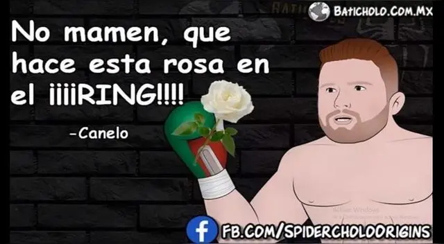 Canelo vs Fielding EN VIVO Space FOX Action TV Televisa: divertidos memes del combate título Supermediano AMB 2018 | FOTOS | face | VIRAL Canelo vs Fielding EN VIVO Space FOX Action TV Televisa: divertidos memes del combate título Supermediano AMB 2018 | FOTOS | face | VIRAL