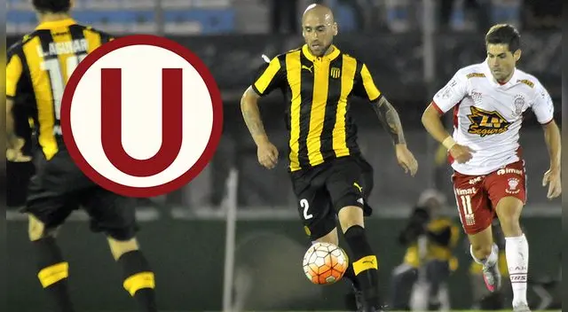 Mira las mejores jugadas del nuevo jale del equipo de Nicolás Córdova. 