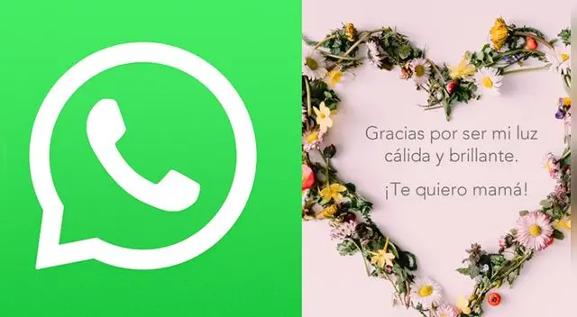 Descubre cómo descargar las imágenes de WhatsApp.