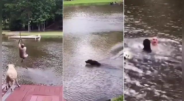 Perro rescata a su dueño tras caer a lago y video es viral en TikTok