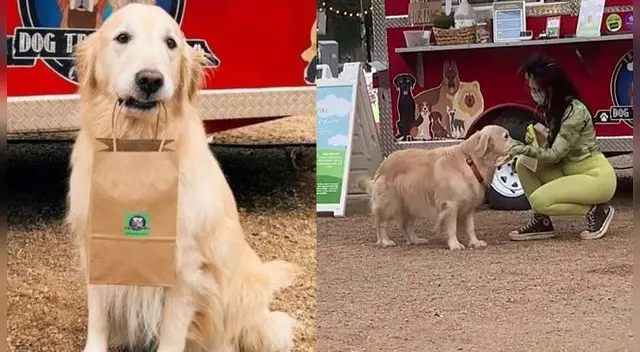 'Lily', la mascota que reparte comida para perros. 'Lily', la mascota que reparte comida para perros.