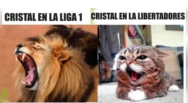 Sporting Cristal: memes no se hicieron esperar en las redes sociales.