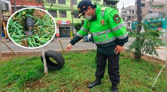 PNP encuentra explosivo en Independencia