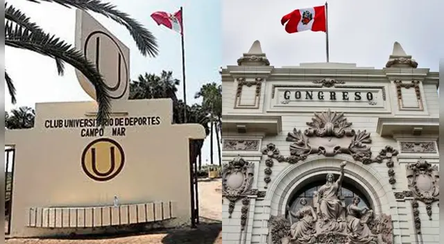 Universitario: Congreso aprueba ley que regula el proceso concursal