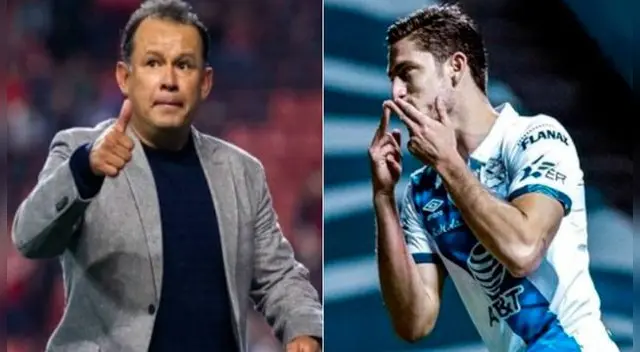 Juan Reynoso seguro de que Santiago Ormeño puede pelear un puesto en Perú. Juan Reynoso seguro de que Santiago Ormeño puede pelear un puesto en Perú.