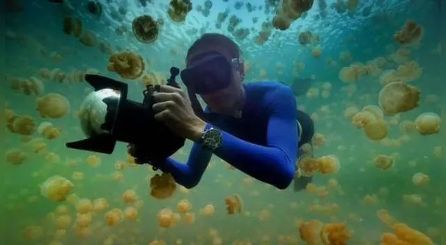 Pristine Seas, la inédita expedición para proteger la Antártida que llega a la TV