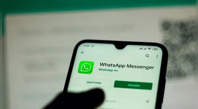 WhatsApp: ¿Cómo puedo chatear con alguien sin añadirlo a tu lista de contactos? WhatsApp: ¿Cómo puedo chatear con alguien sin añadirlo a tu lista de contactos?