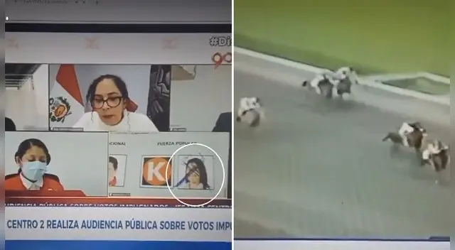 Canal N cortó transmisión segundos después que apareció una acta marcada con