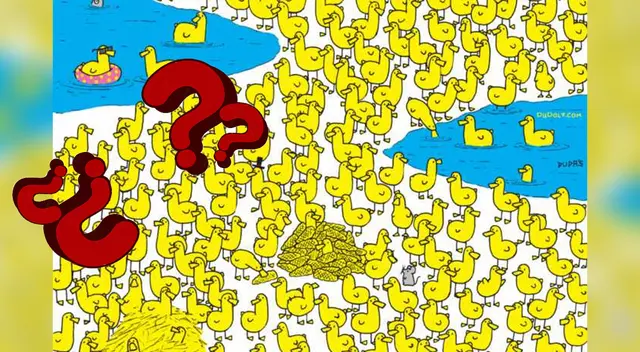 Intenta resolver este reto visual.
