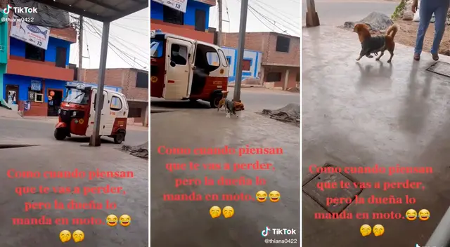 Un perro se perdió, pero luego llega a su casa en una mototaxi. Un perro se perdió, pero luego llega a su casa en una mototaxi.