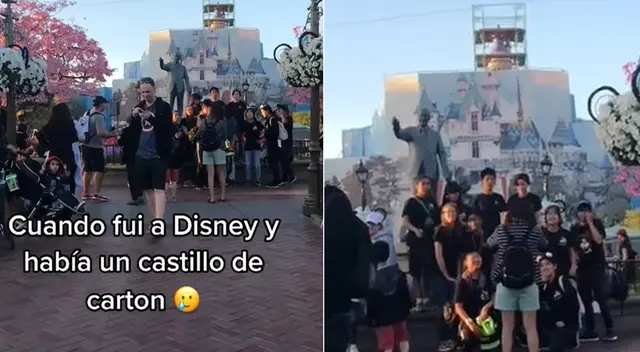Viajó a Disneylandia y solo vio un castillo de cartón Viajó a Disneylandia y solo vio un castillo de cartón