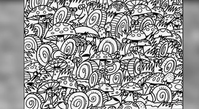 Reto visual muy complicado, intenta resolverlo.