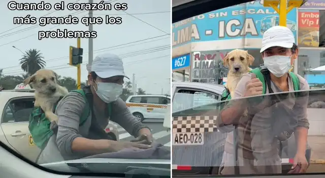 Joven conmueve a las redes por llevar a su perro a donde va Joven conmueve a las redes por llevar a su perro a donde va