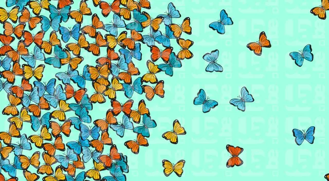 Encuentra al infiltrado entre las mariposas.