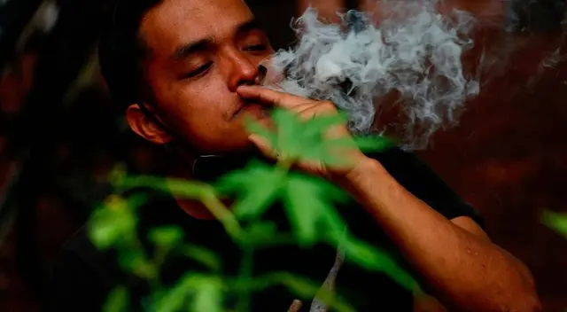 Corte determinó que es inconstitucional la prohibición del uso lúdico de la marihuana Corte determinó que es inconstitucional la prohibición del uso lúdico de la marihuana