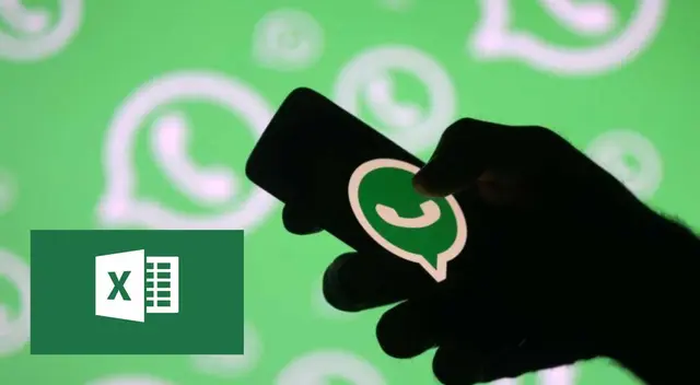 Conoce cómo exportar tu lista de contactos en un documento de Excel