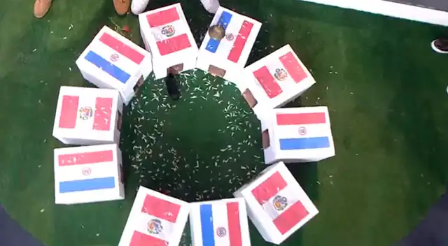 O Perú o la olla. El cuy finalmente seleccionó a la blanquirroja. O Perú o la olla. El cuy finalmente seleccionó a la blanquirroja.