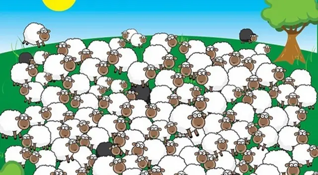 Encuentra al animal infiltrado en la imagen.
