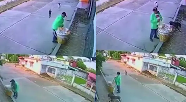Vendedor es captado compartiendo su comida con perros callejeros Vendedor es captado compartiendo su comida con perros callejeros